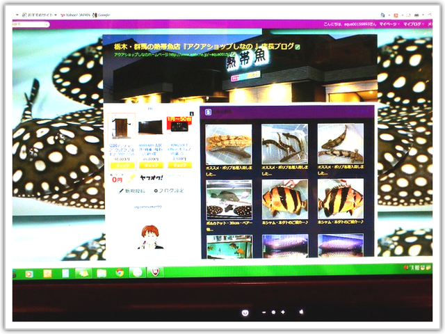 Yahooブログ アクアショップしなの